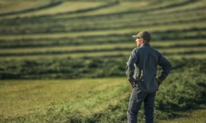 Section 547 Bankruptcy Law and preferential transfers