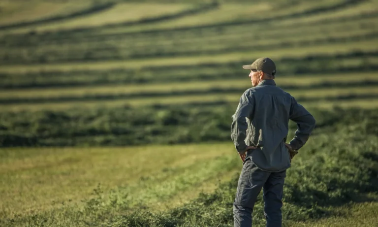 Section 547 Bankruptcy Law and preferential transfers